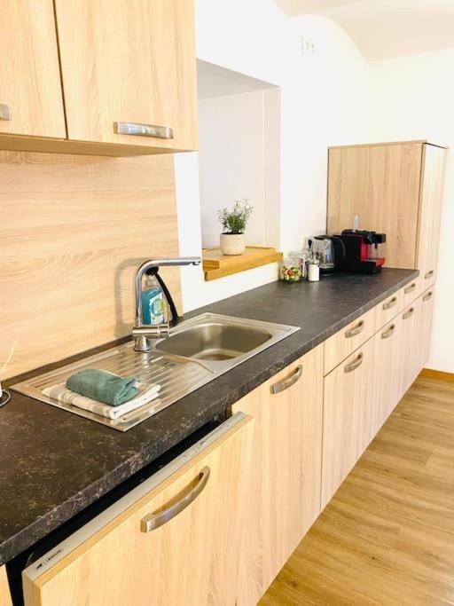 Terrassenwohnung Mit Donaublick Obernzell Luaran gambar